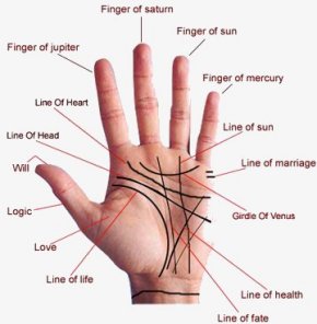 Palm Reading ~ Read Your Own Palm ~ Palm Reading Chart