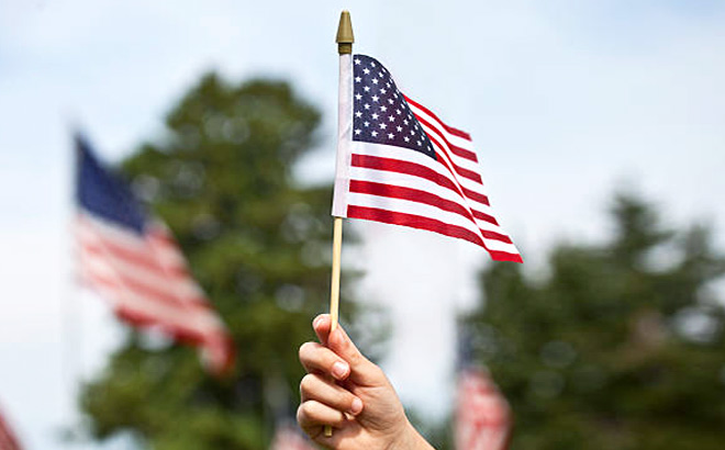 8 Inch x 12 inch American Flag