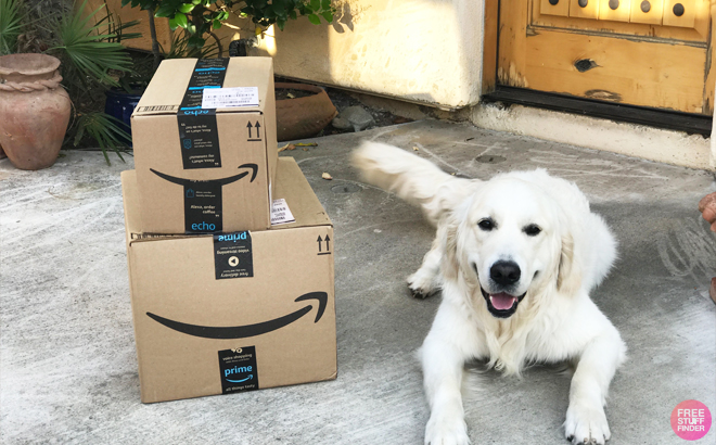 Amazon Baby Welcome Boxes next to a Dog on the Floor Amazon Baby Welcome Boxes next to a Dog on the Floor
