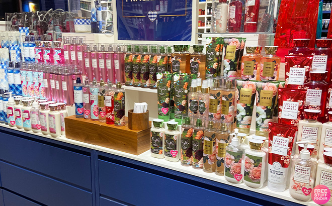 Bath Body Works Overview