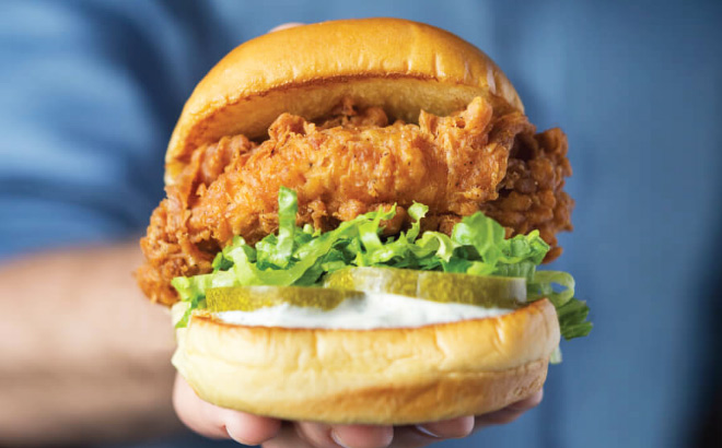 Chicken ShackBurger sandwich Chicken ShackBurger sandwich