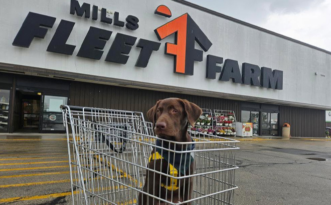 Dog Day at Fleet Farm