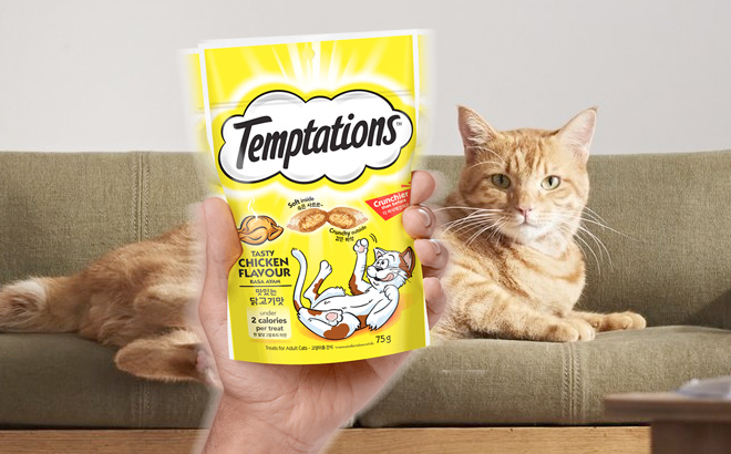 Free Temptation Cat Treats Sample