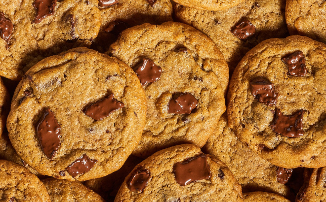 Insomnia Cookies Chocolate Chunk Cookie