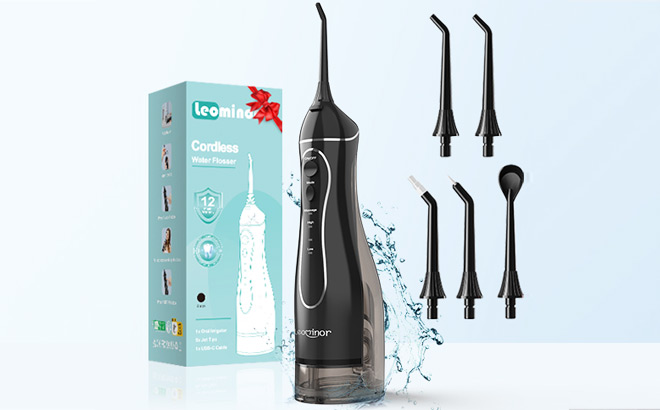 Leominor Water Dental Flosser