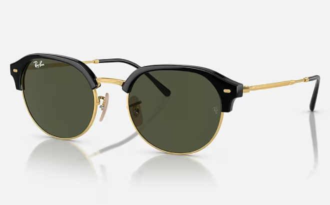 Ray Ban RB4429 Sunglasses 1