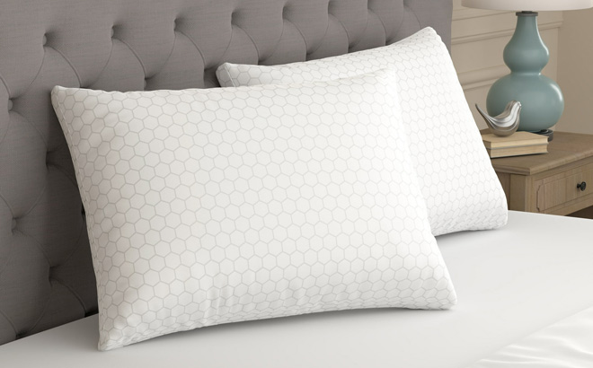 Sealy Bed Pillow