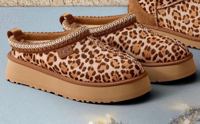 UGG Womens Tazz Plains Slippers UGG Womens Tazz Plains Slippers