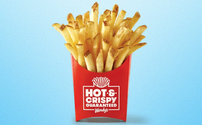 Wendys Hot Crispy Fries Wendys Hot Crispy Fries