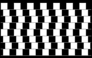 Optical Illusions 4