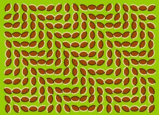 Optical Illusions 1